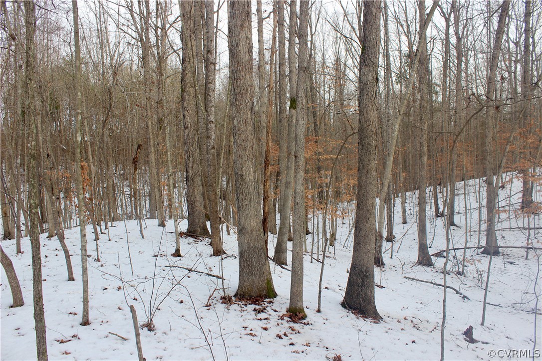2244 Hardings Mill Road Nathalie, VA 24577 - Photo 21 of 47