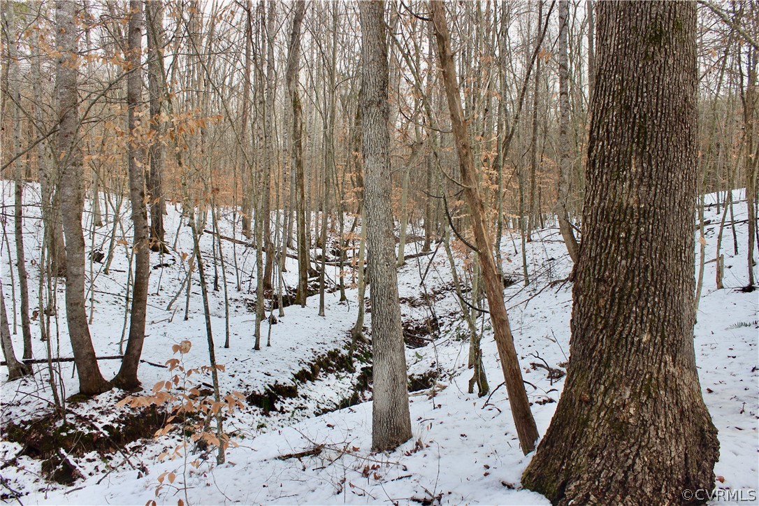 2244 Hardings Mill Road Nathalie, VA 24577 - Photo 22 of 47