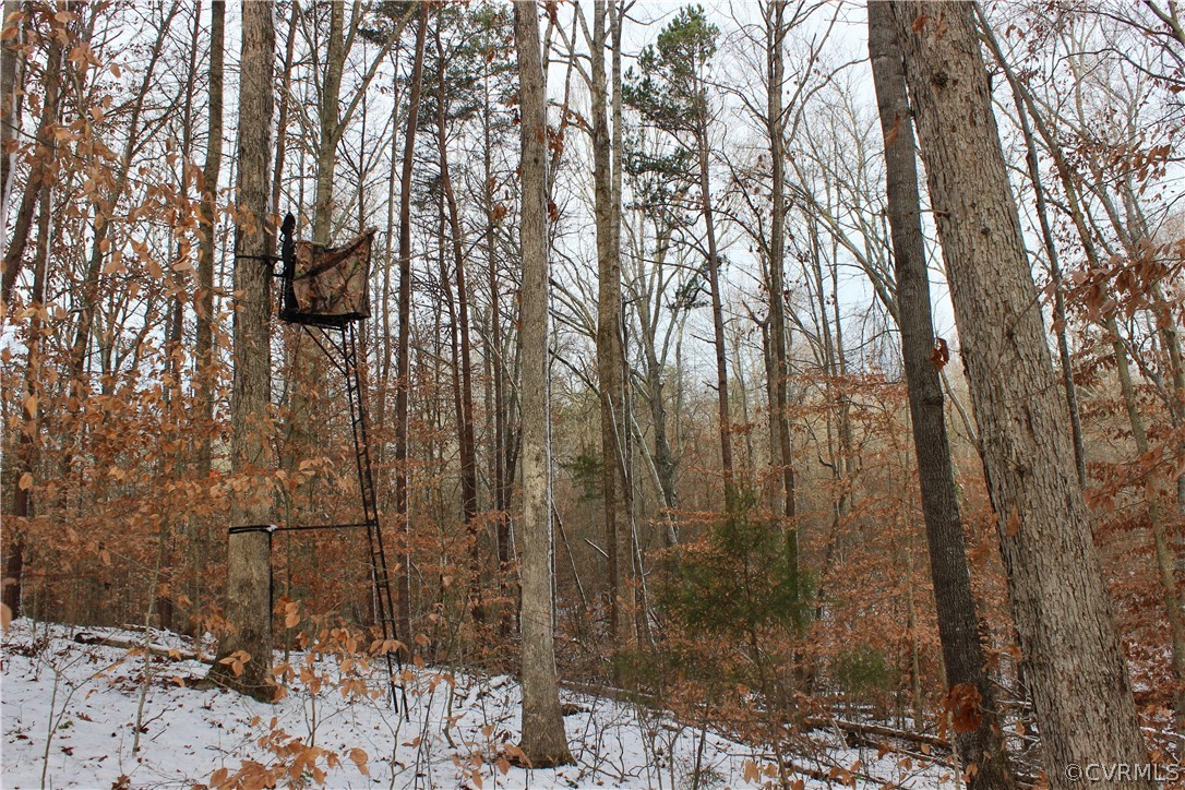2244 Hardings Mill Road Nathalie, VA 24577 - Photo 23 of 47