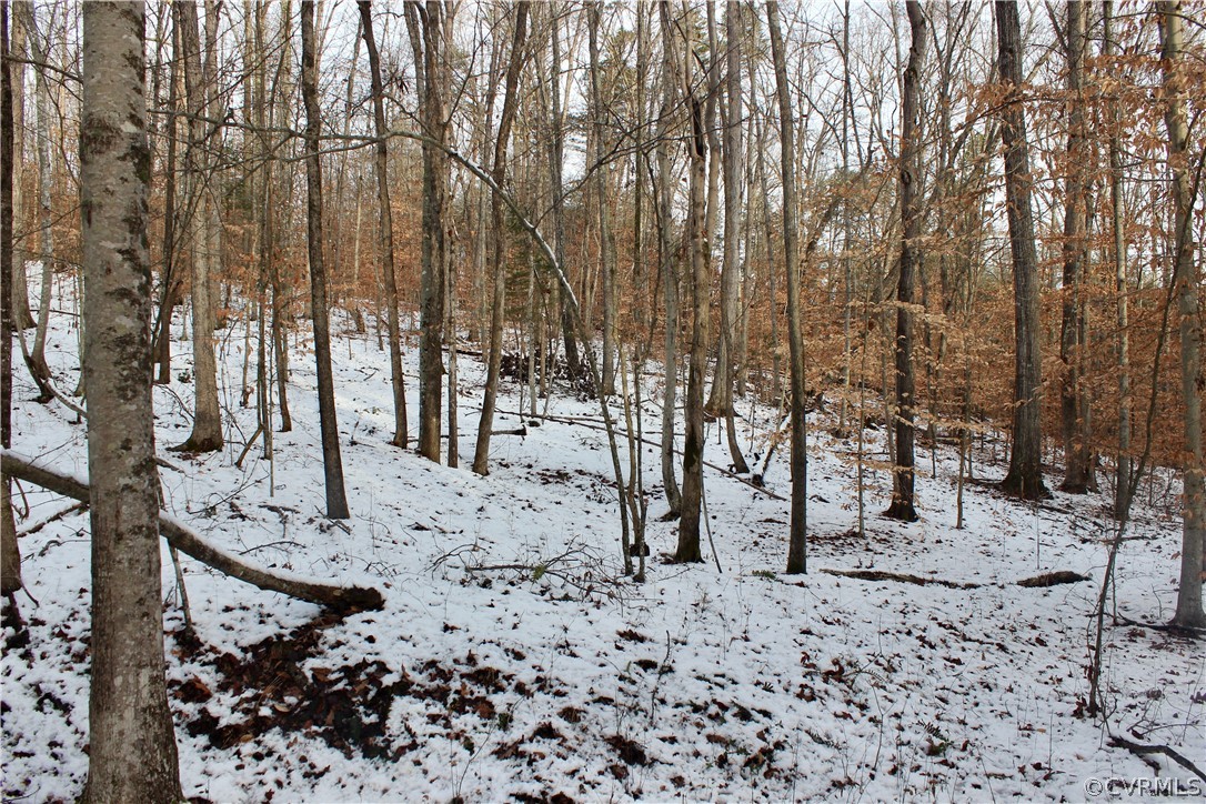 2244 Hardings Mill Road Nathalie, VA 24577 - Photo 24 of 47