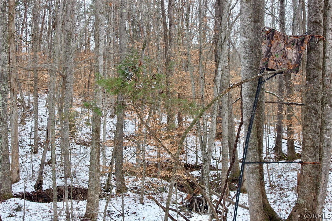 2244 Hardings Mill Road Nathalie, VA 24577 - Photo 25 of 47