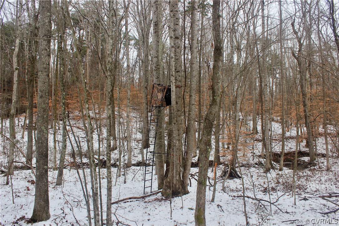 2244 Hardings Mill Road Nathalie, VA 24577 - Photo 26 of 47