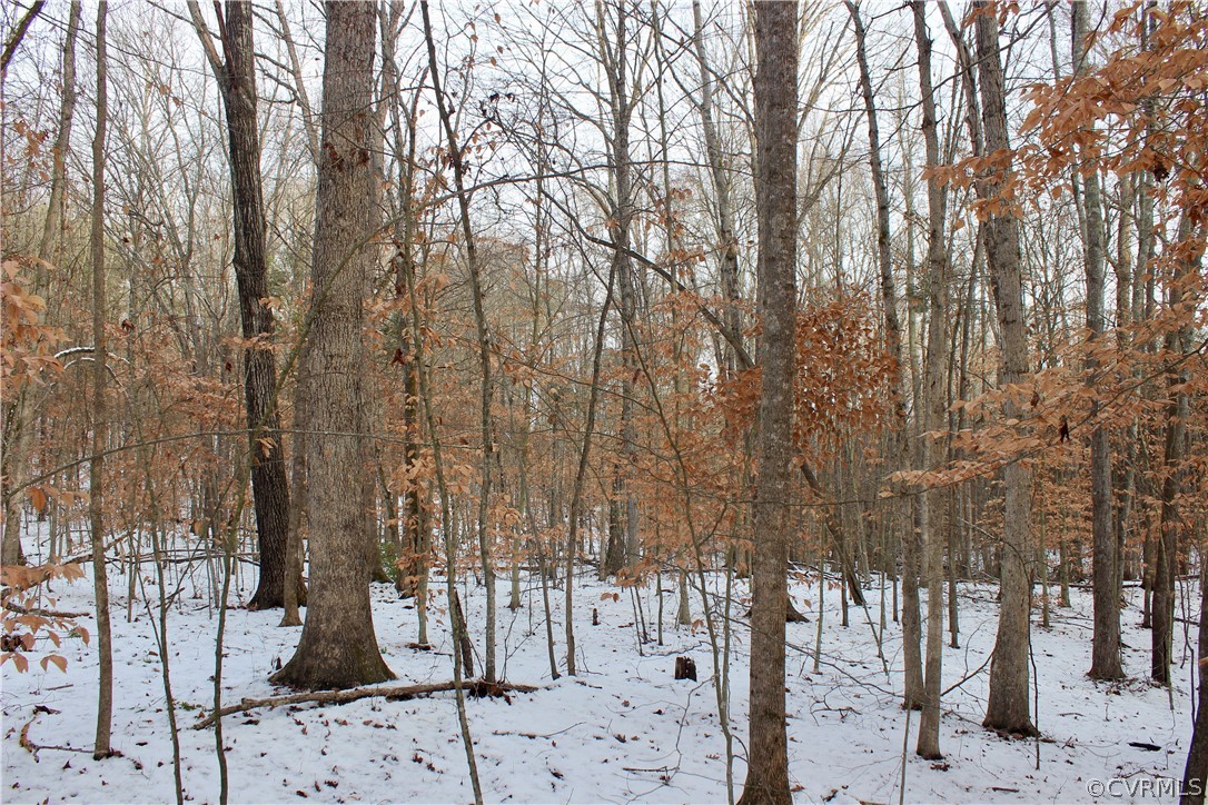 2244 Hardings Mill Road Nathalie, VA 24577 - Photo 27 of 47