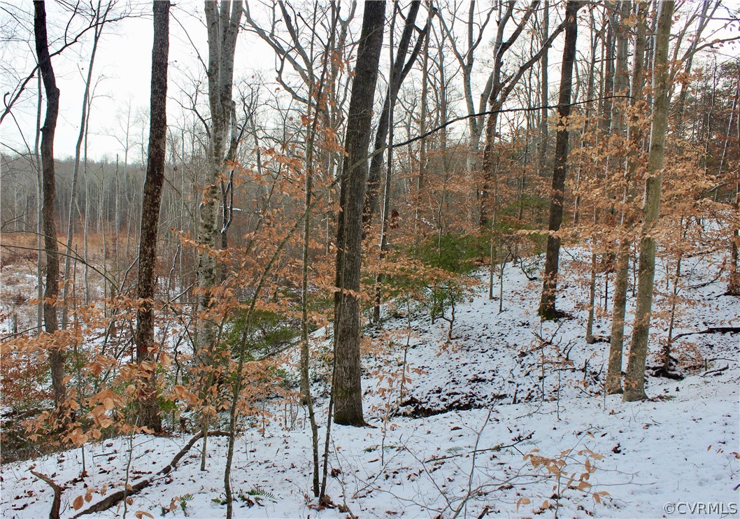 2244 Hardings Mill Road Nathalie, VA 24577 - Photo 28 of 47