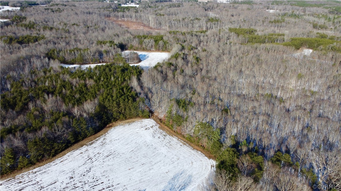 2244 Hardings Mill Road Nathalie, VA 24577 - Photo 29 of 47
