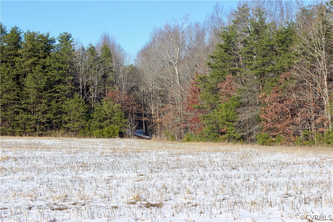 2244 Hardings Mill Road Nathalie, VA 24577 - Photo 36 of 47