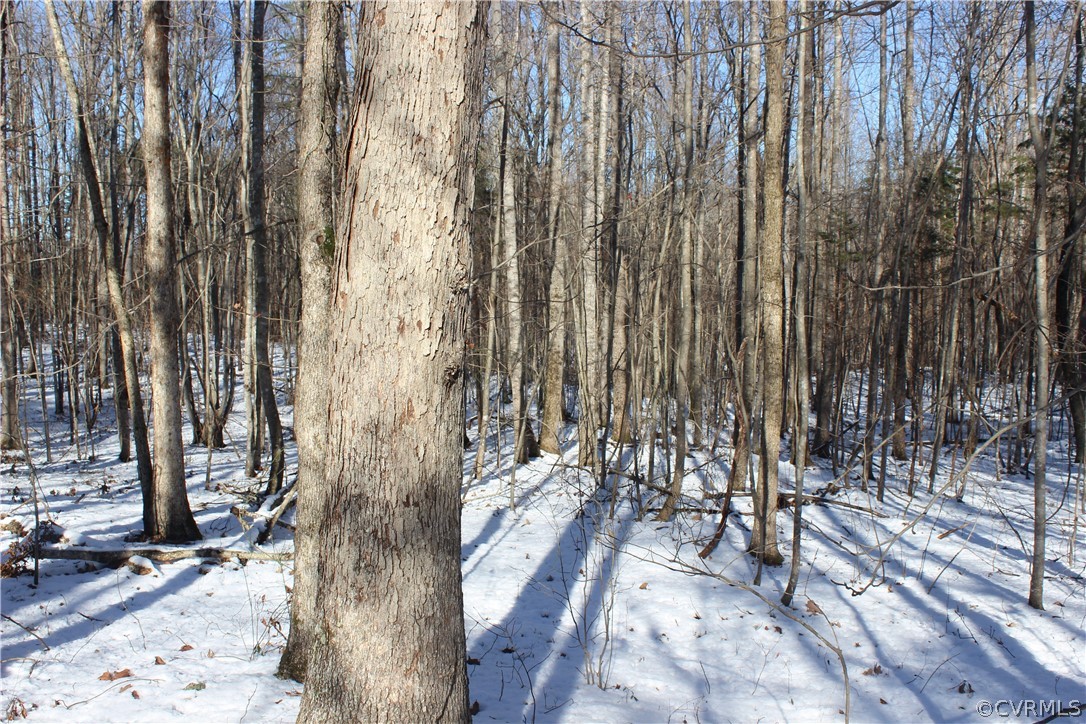 2244 Hardings Mill Road Nathalie, VA 24577 - Photo 40 of 47