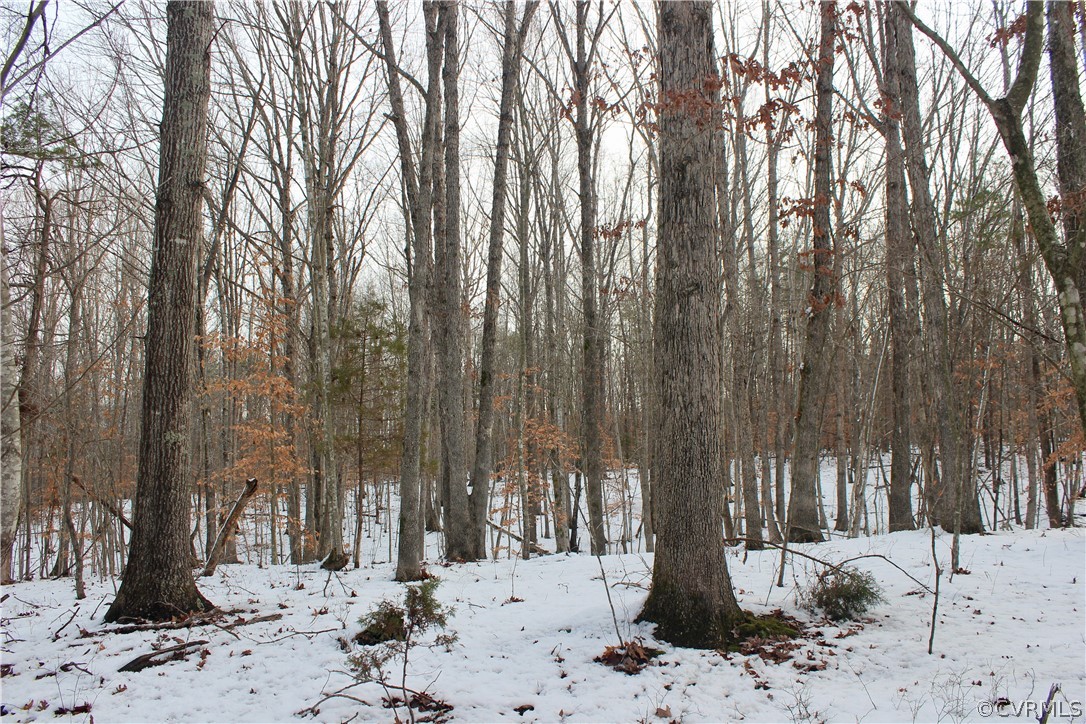 2244 Hardings Mill Road Nathalie, VA 24577 - Photo 4 of 47