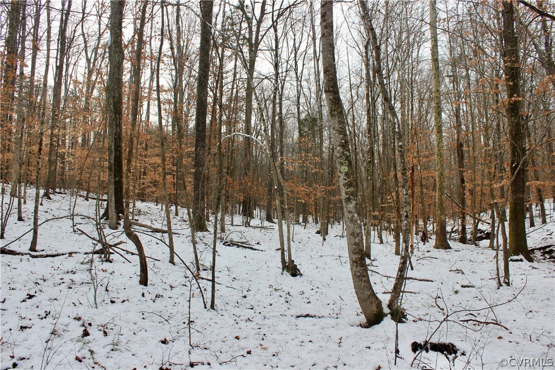 2244 Hardings Mill Road Nathalie, VA 24577 - Photo 41 of 47