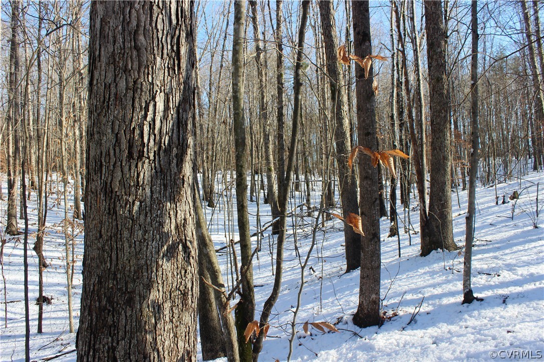 2244 Hardings Mill Road Nathalie, VA 24577 - Photo 44 of 47