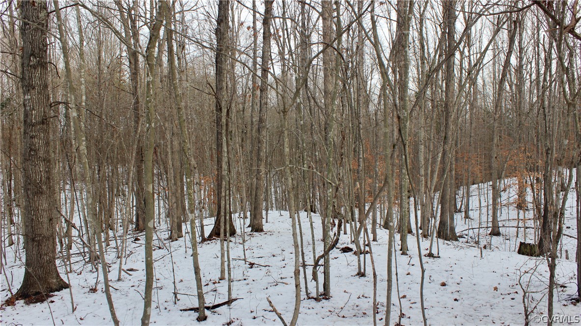 2244 Hardings Mill Road Nathalie, VA 24577 - Photo 45 of 47