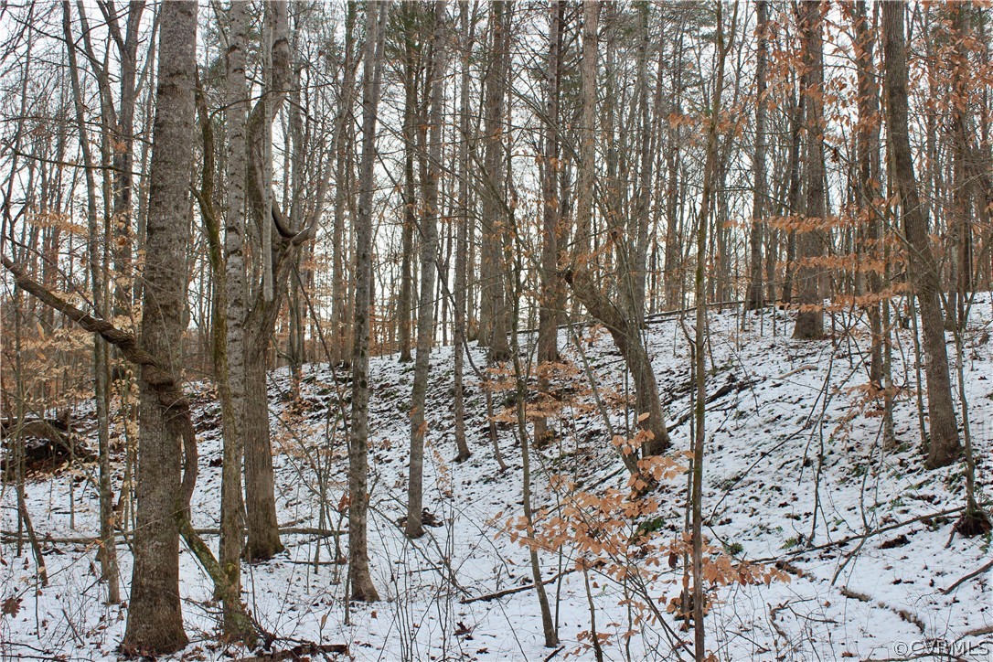 2244 Hardings Mill Road Nathalie, VA 24577 - Photo 46 of 47