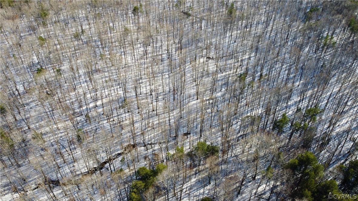 2244 Hardings Mill Road Nathalie, VA 24577 - Photo 5 of 47