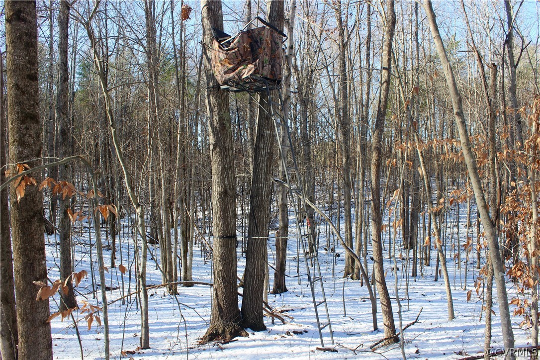 2244 Hardings Mill Road Nathalie, VA 24577 - Photo 6 of 47