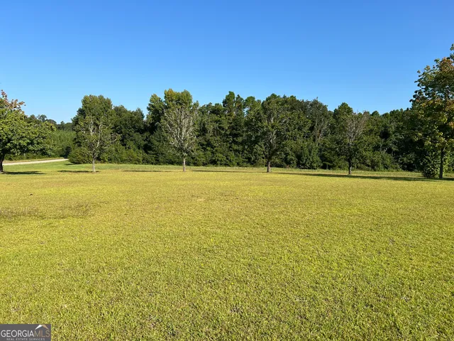 $960,000 | 762 Nicholson-Carr Road, Chester, GA 31012
