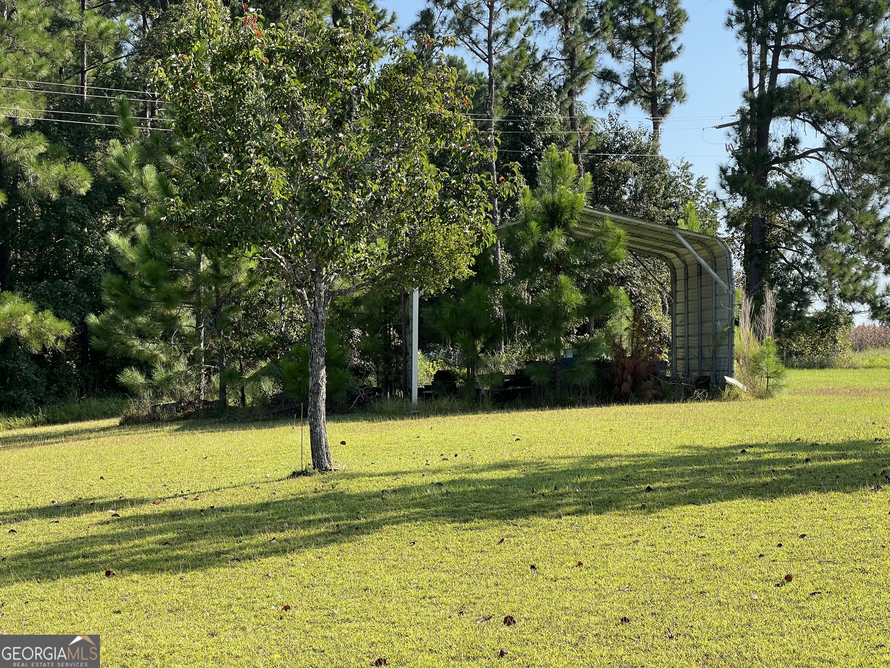 762 Nicholson-Carr Road Chester, GA 31012 - Photo 57 of 80 a view of a swimming pool and trees in the background