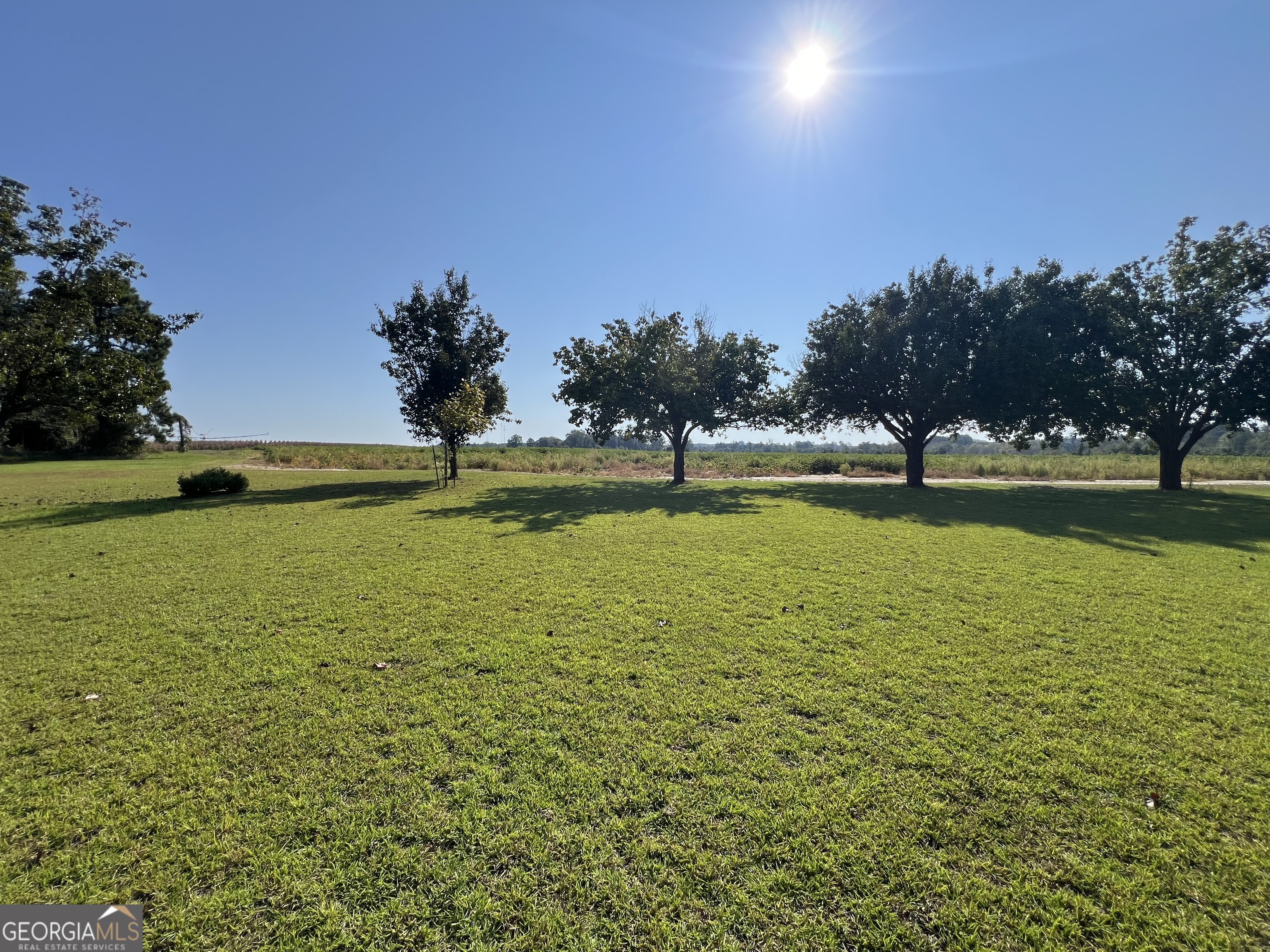 762 Nicholson-Carr Road Chester, GA 31012 - Photo 58 of 80