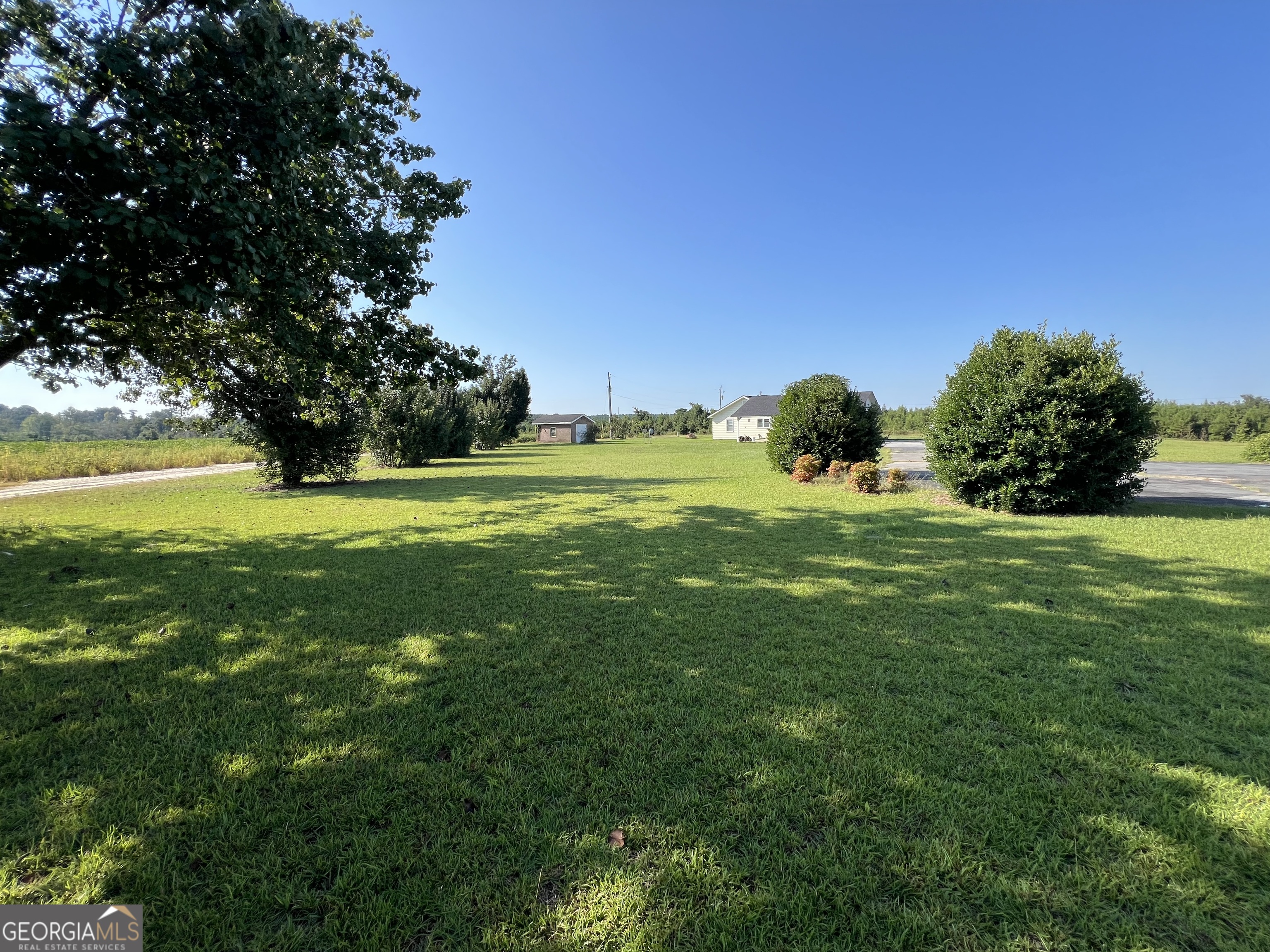 762 Nicholson-Carr Road Chester, GA 31012 - Photo 59 of 80 a view of a grassy field with an trees