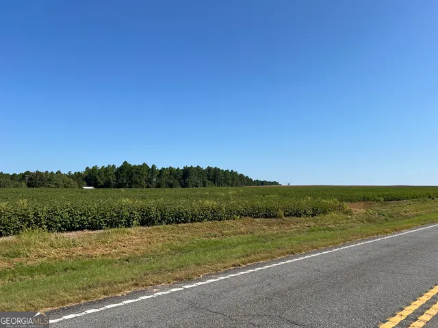 $960,000 | 762 Nicholson-Carr Road, Chester, GA 31012