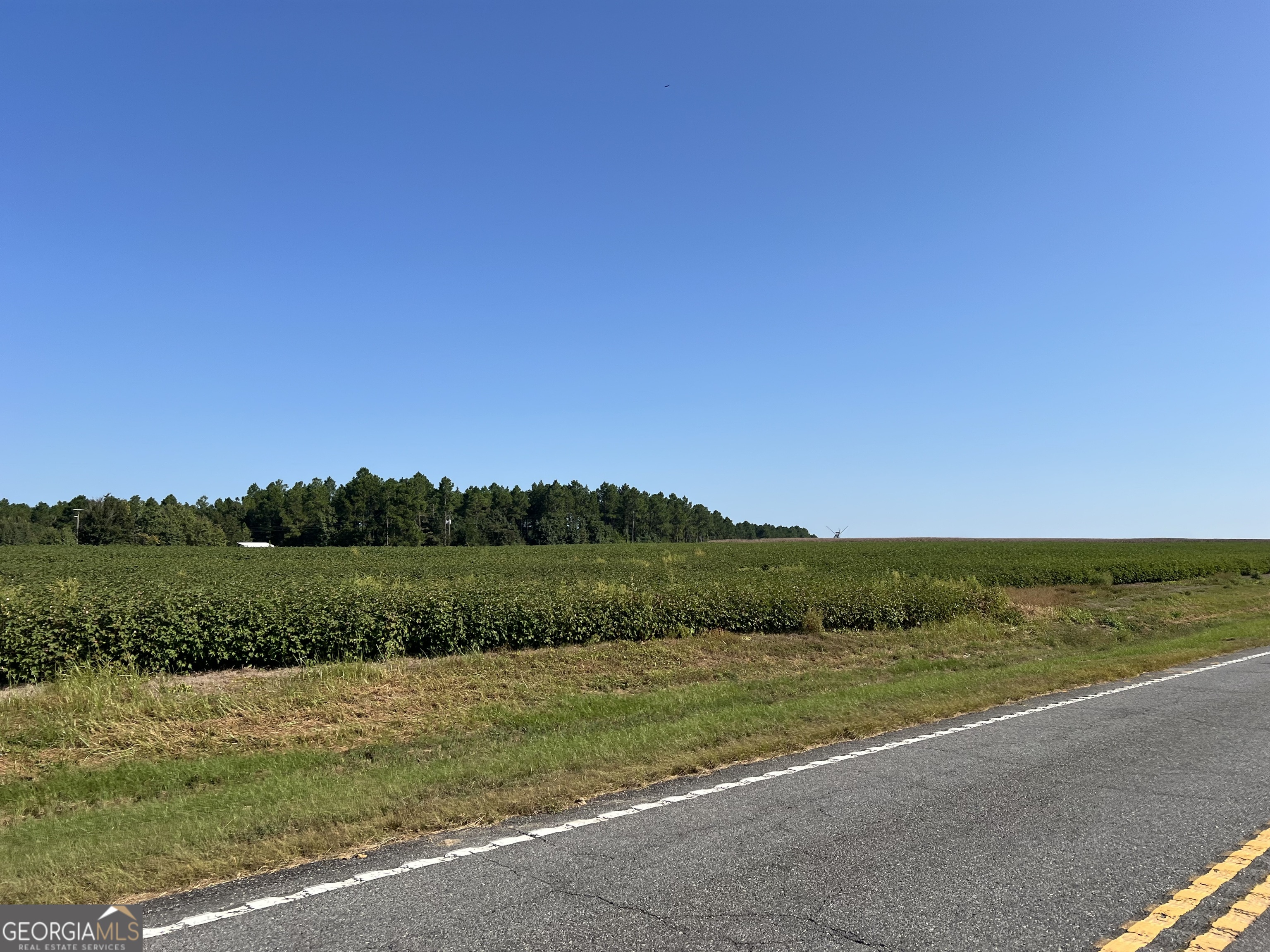 762 Nicholson-Carr Road Chester, GA 31012 - Photo 60 of 80 a view of a lake with houses in the background