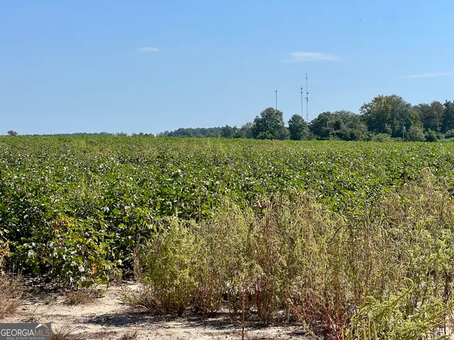 $960,000 | 762 Nicholson-Carr Road, Chester, GA 31012