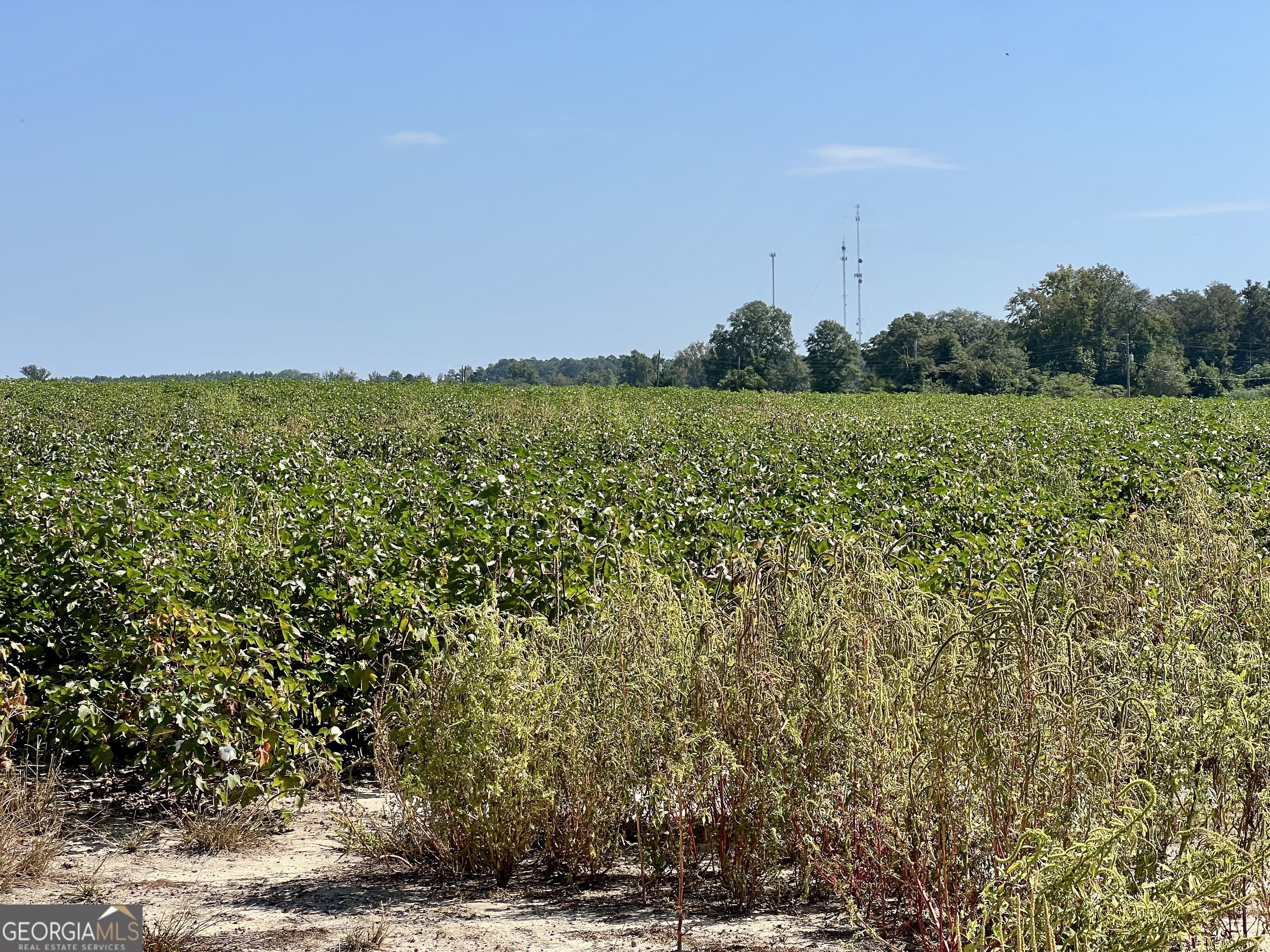762 Nicholson-Carr Road Chester, GA 31012 - Photo 61 of 80