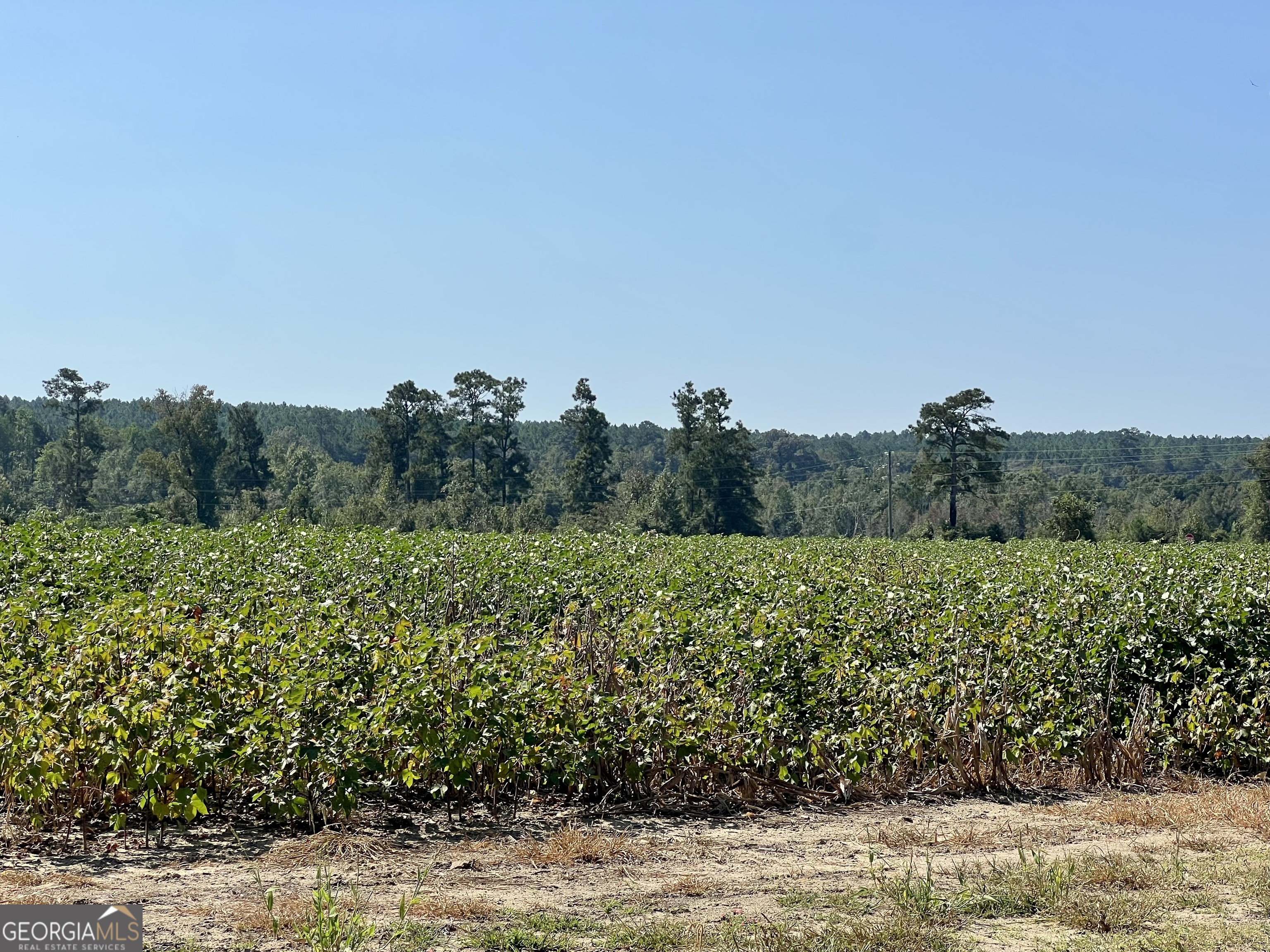 762 Nicholson-Carr Road Chester, GA 31012 - Photo 62 of 80