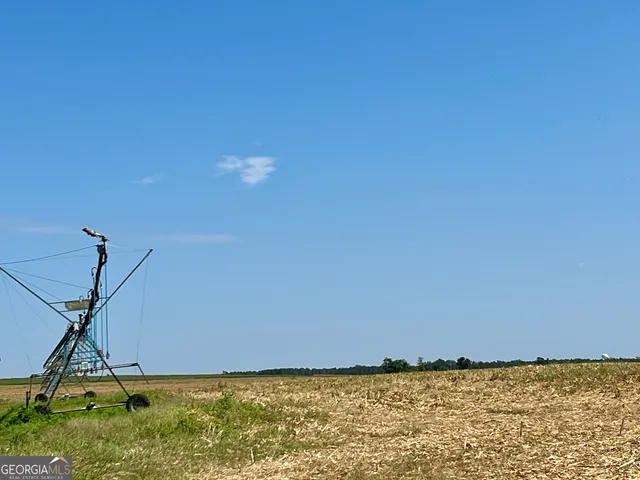 $960,000 | 762 Nicholson-Carr Road, Chester, GA 31012