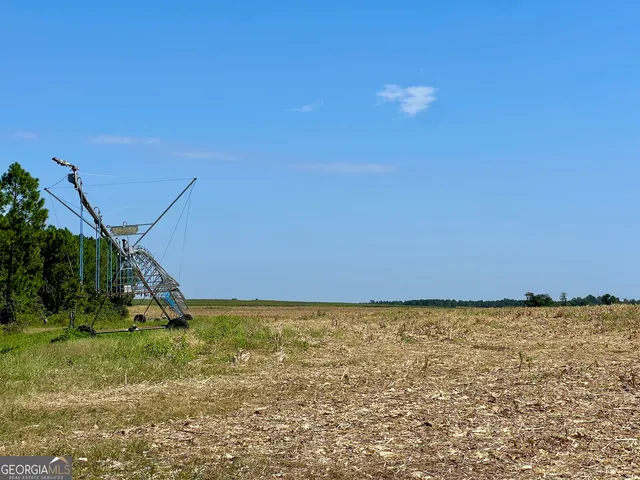 $960,000 | 762 Nicholson-Carr Road, Chester, GA 31012