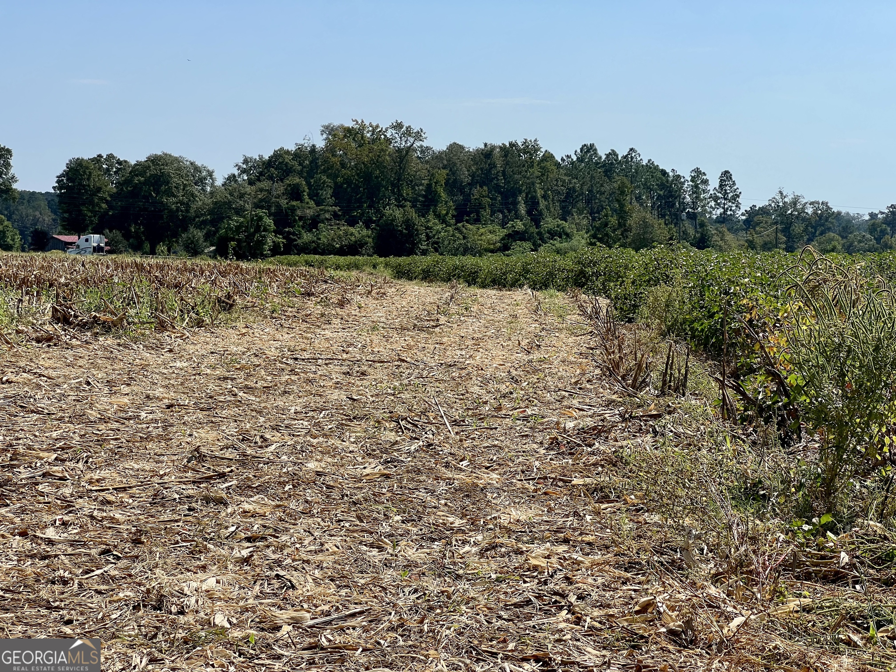 762 Nicholson-Carr Road Chester, GA 31012 - Photo 66 of 80 a view of a lake view