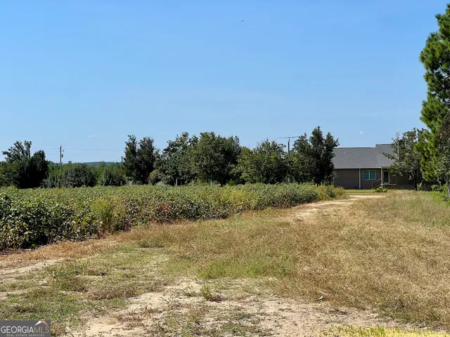 $960,000 | 762 Nicholson-Carr Road, Chester, GA 31012