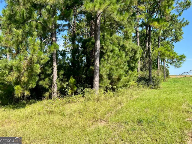 $960,000 | 762 Nicholson-Carr Road, Chester, GA 31012