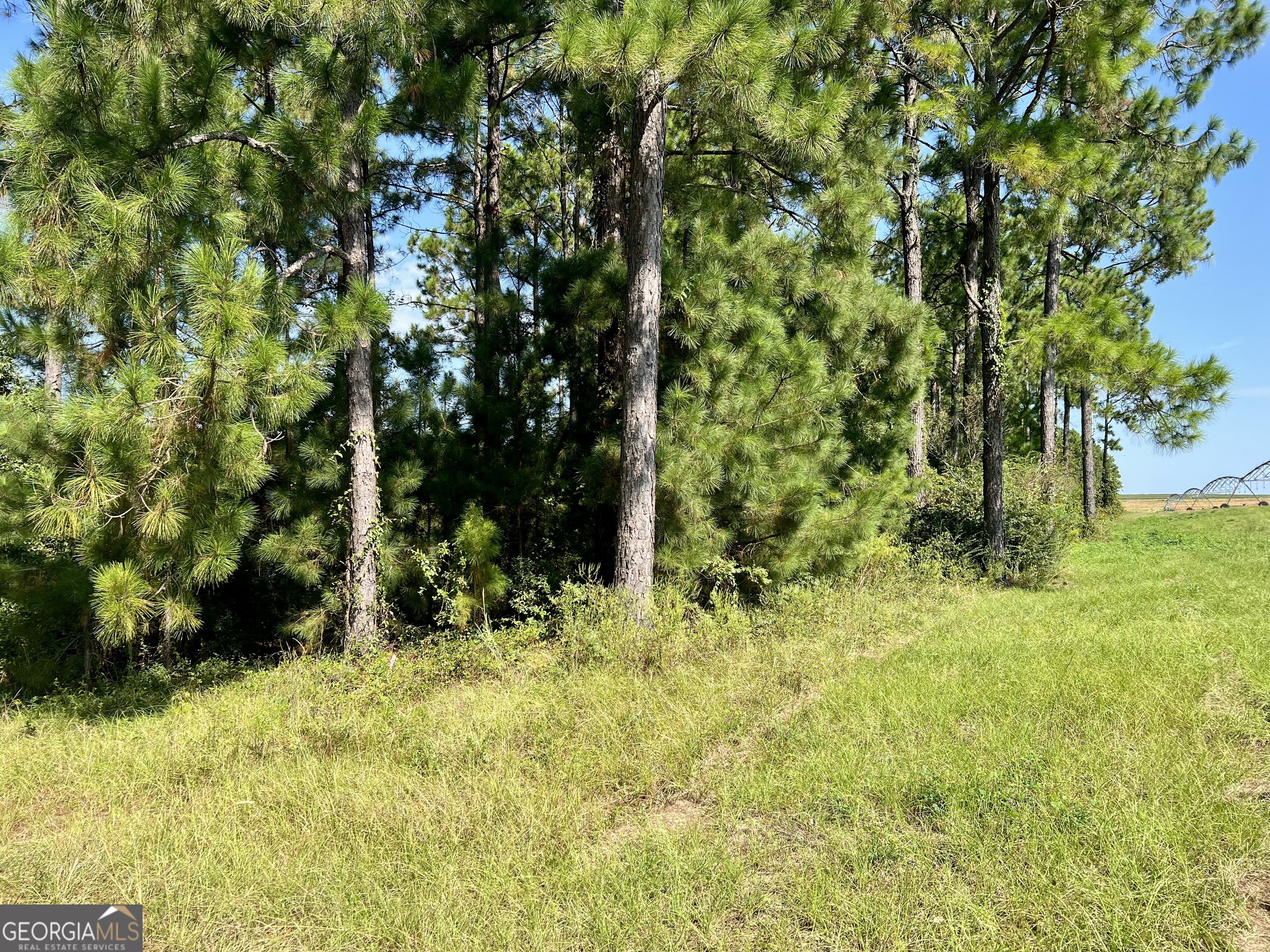 762 Nicholson-Carr Road Chester, GA 31012 - Photo 70 of 80 a backyard of a house with lots of green space