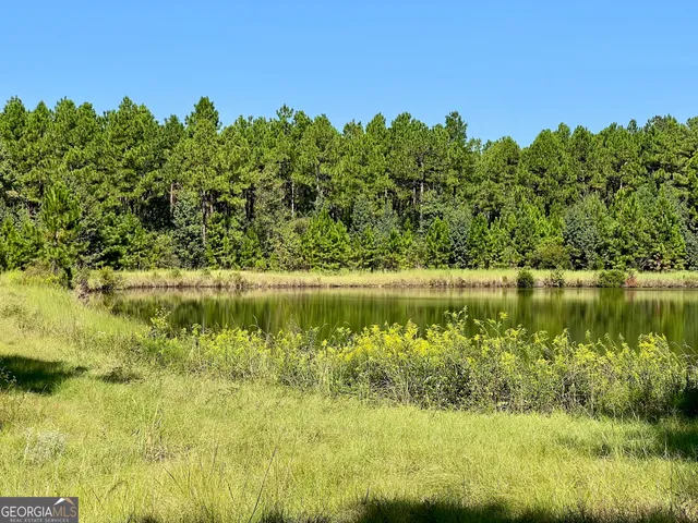 $960,000 | 762 Nicholson-Carr Road, Chester, GA 31012