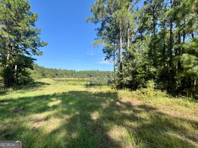 $960,000 | 762 Nicholson-Carr Road, Chester, GA 31012