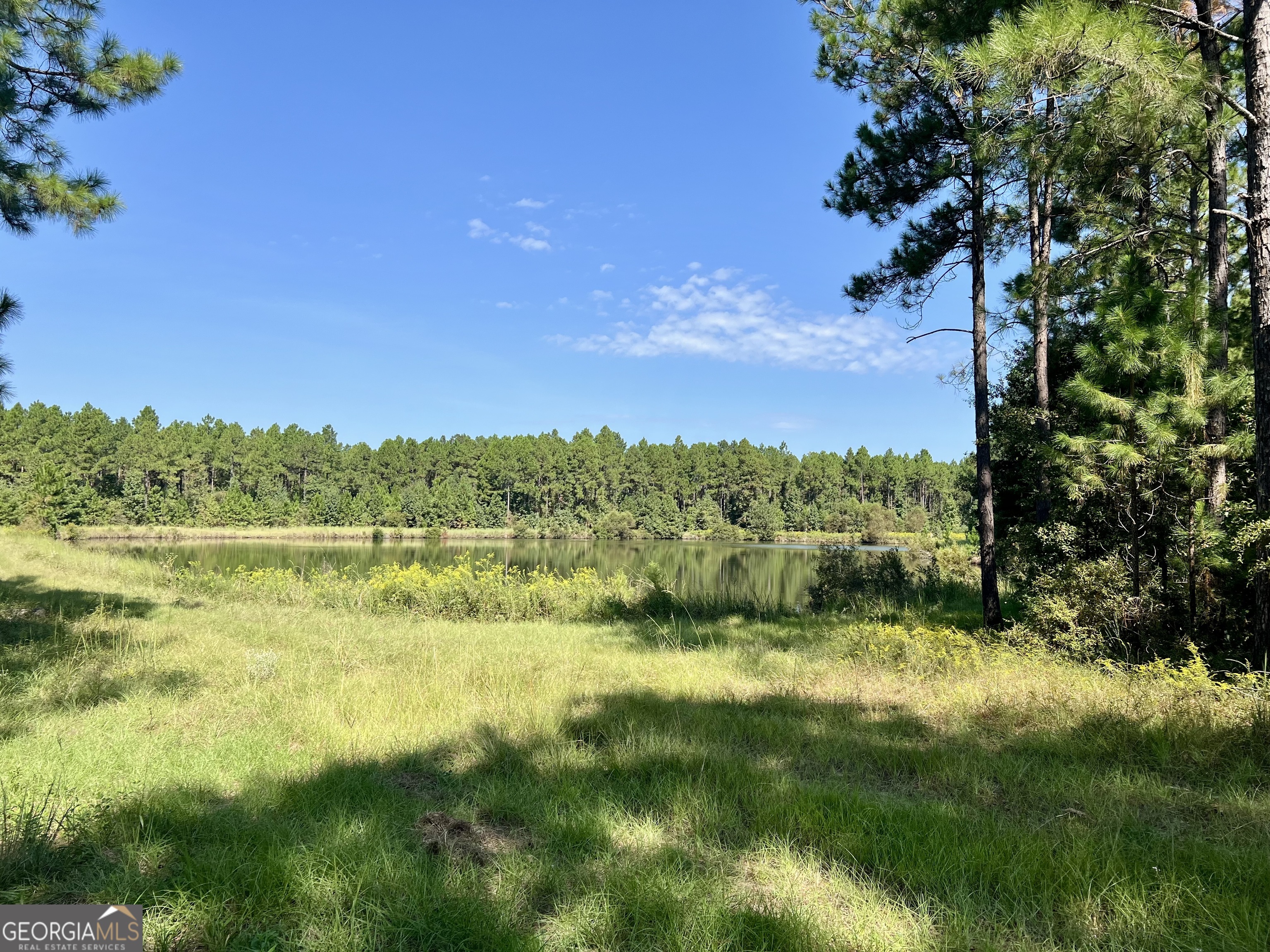 762 Nicholson-Carr Road Chester, GA 31012 - Photo 73 of 80