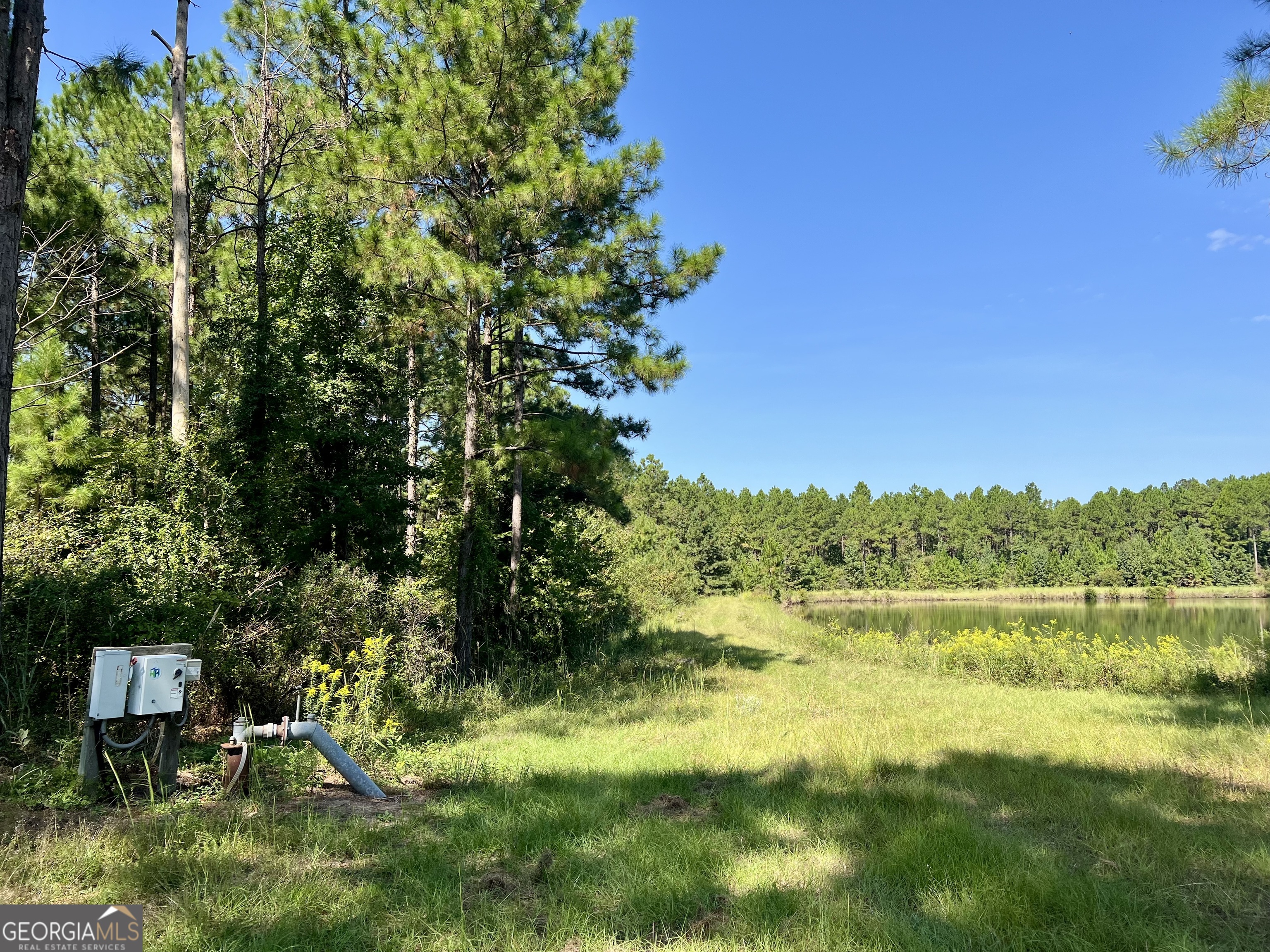762 Nicholson-Carr Road Chester, GA 31012 - Photo 74 of 80 a view of lake with houses in the background