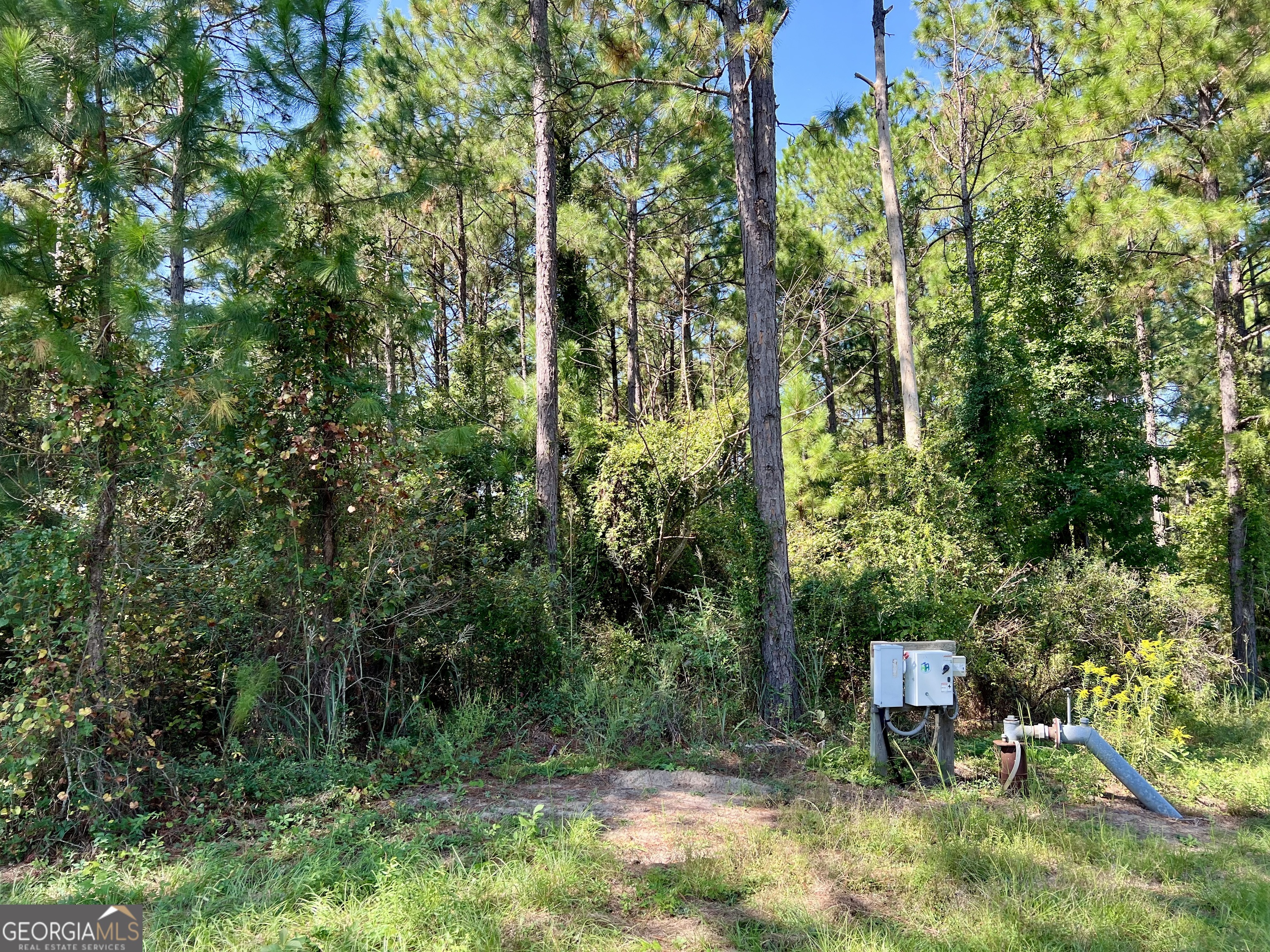 762 Nicholson-Carr Road Chester, GA 31012 - Photo 75 of 80 a view of outdoor space and yard