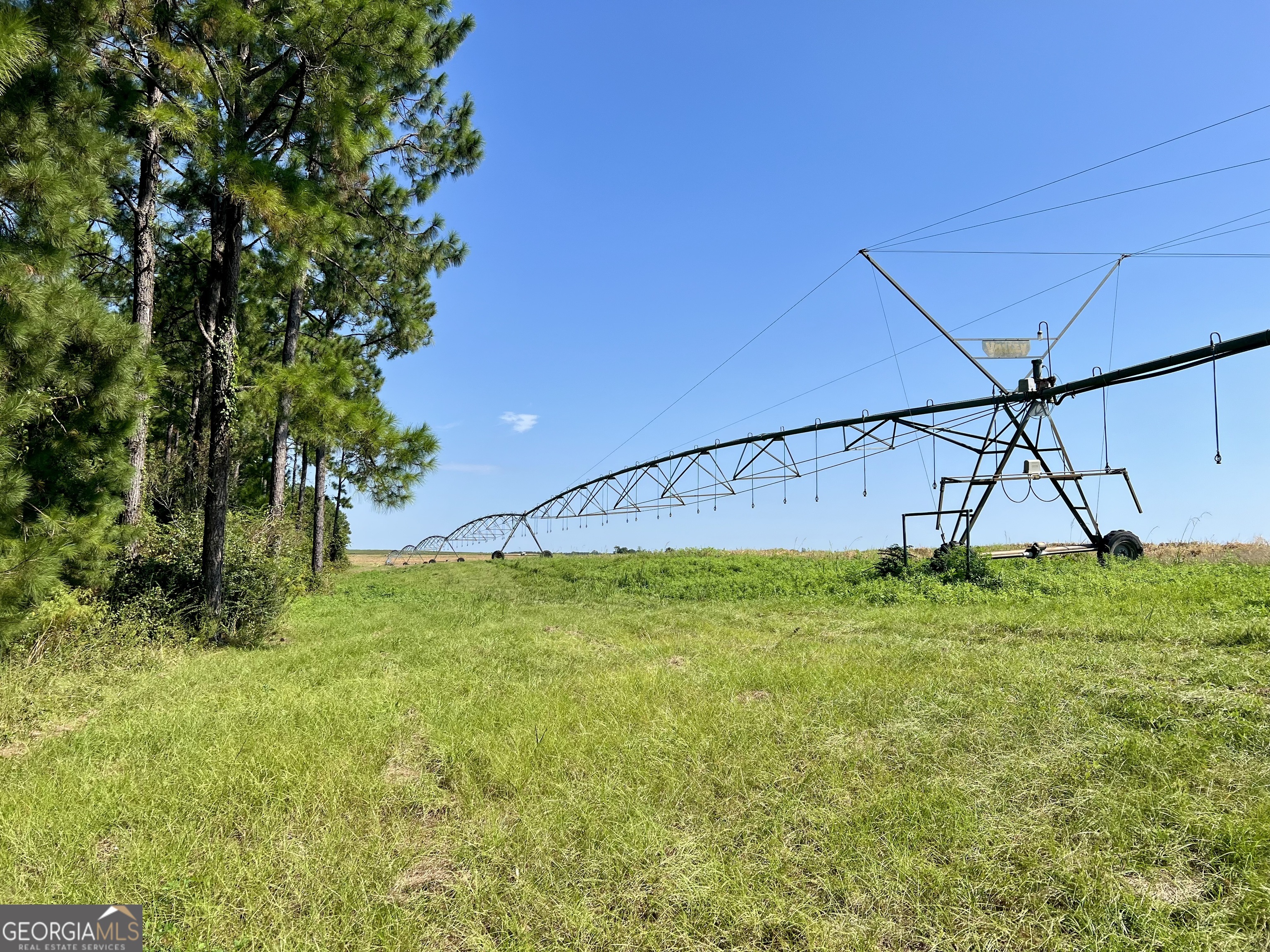 762 Nicholson-Carr Road Chester, GA 31012 - Photo 76 of 80