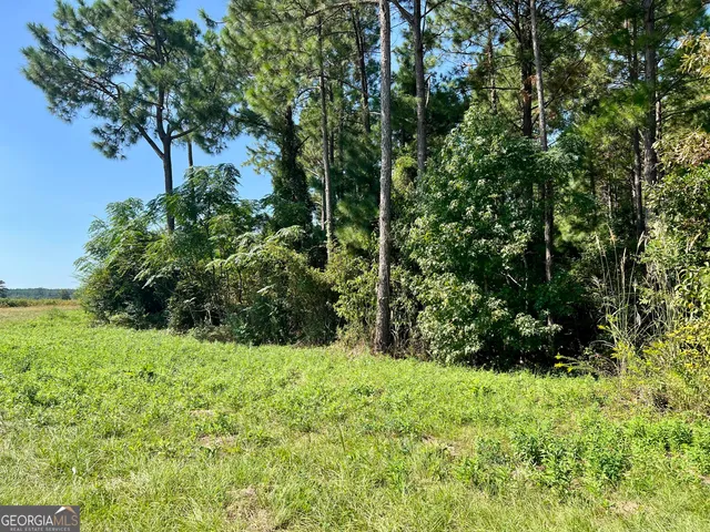 $960,000 | 762 Nicholson-Carr Road, Chester, GA 31012