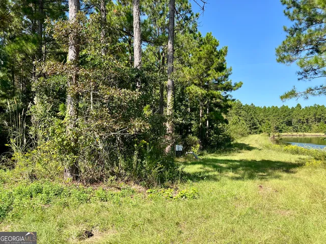 $960,000 | 762 Nicholson-Carr Road, Chester, GA 31012