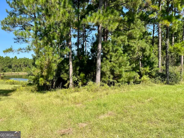 $960,000 | 762 Nicholson-Carr Road, Chester, GA 31012