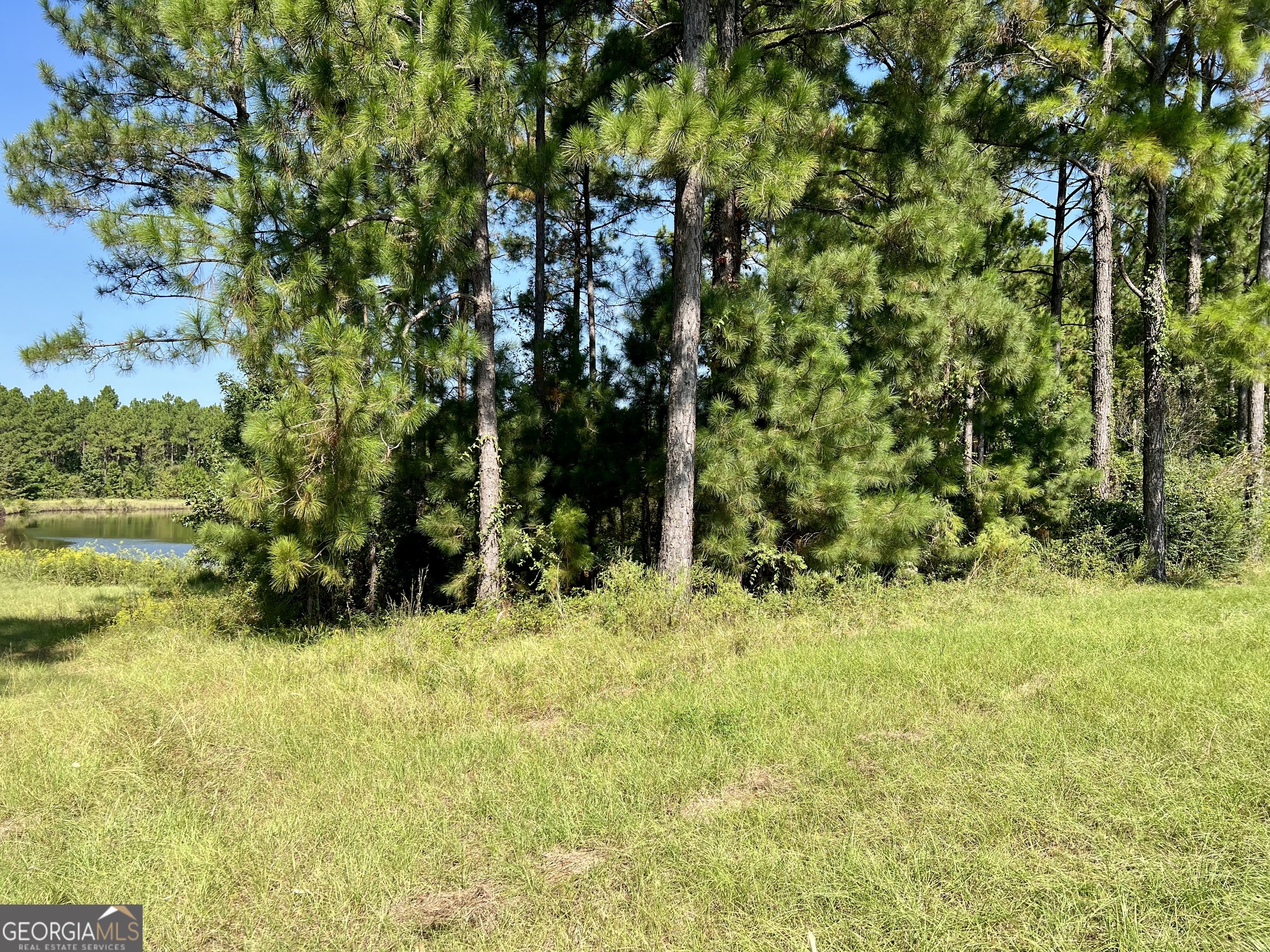 762 Nicholson-Carr Road Chester, GA 31012 - Photo 79 of 80