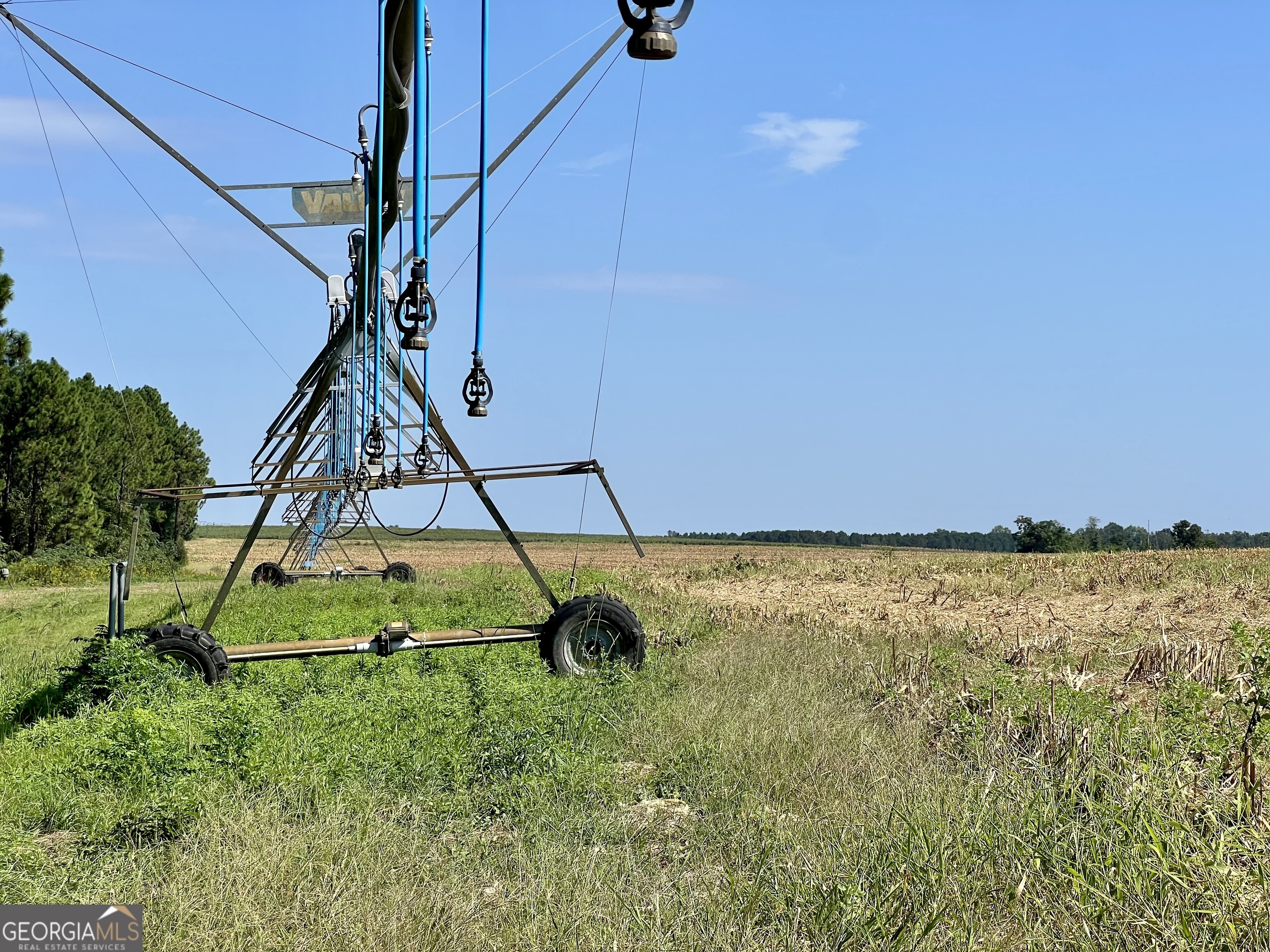 762 Nicholson-Carr Road Chester, GA 31012 - Photo 80 of 80