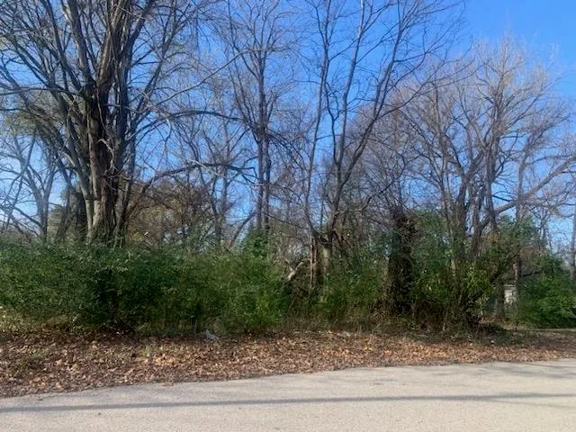 a view of a yard with a tree