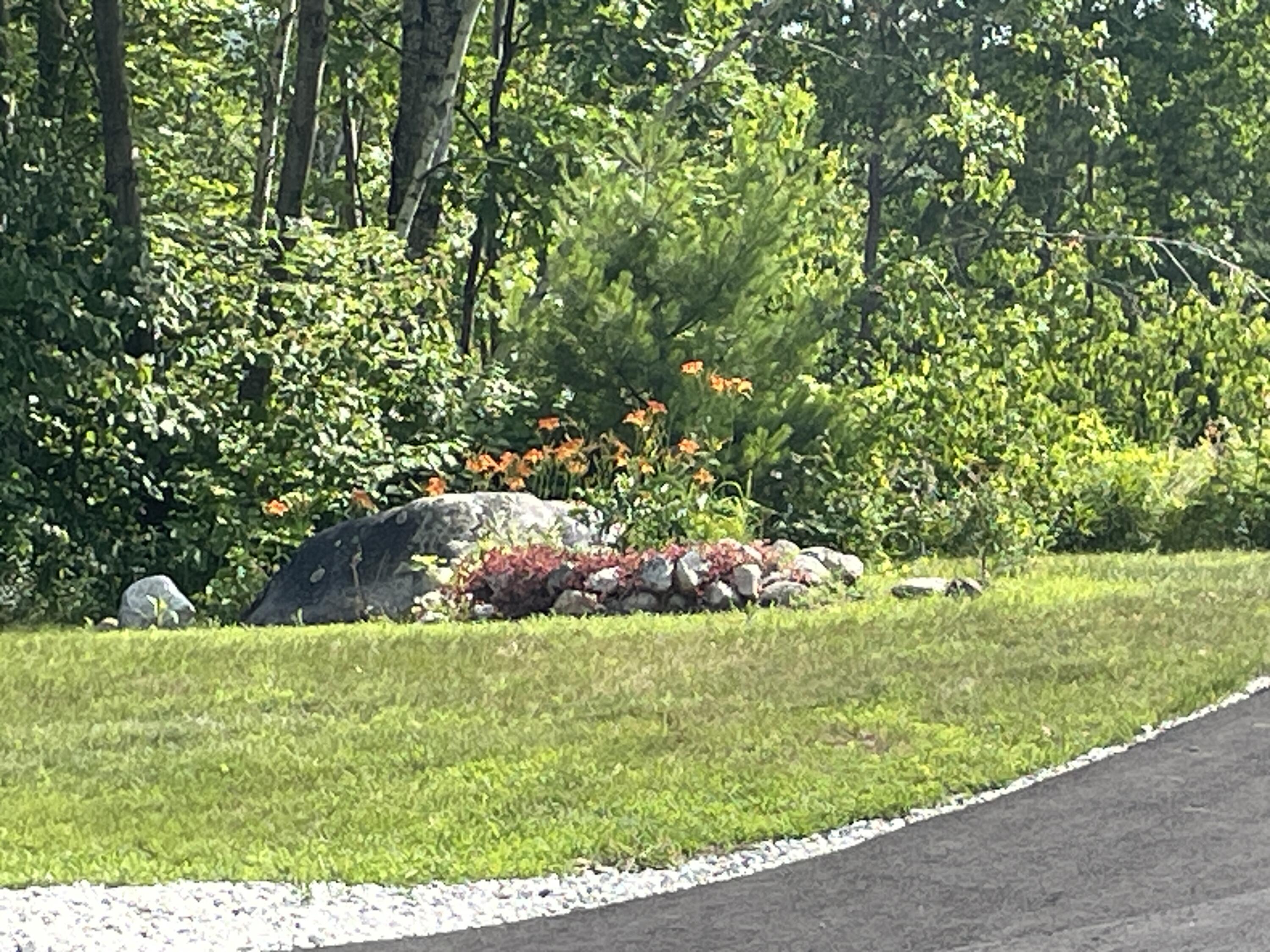 35 Pierce Road Oxford, ME 04270 - Photo 31 of 49 IMG_1986