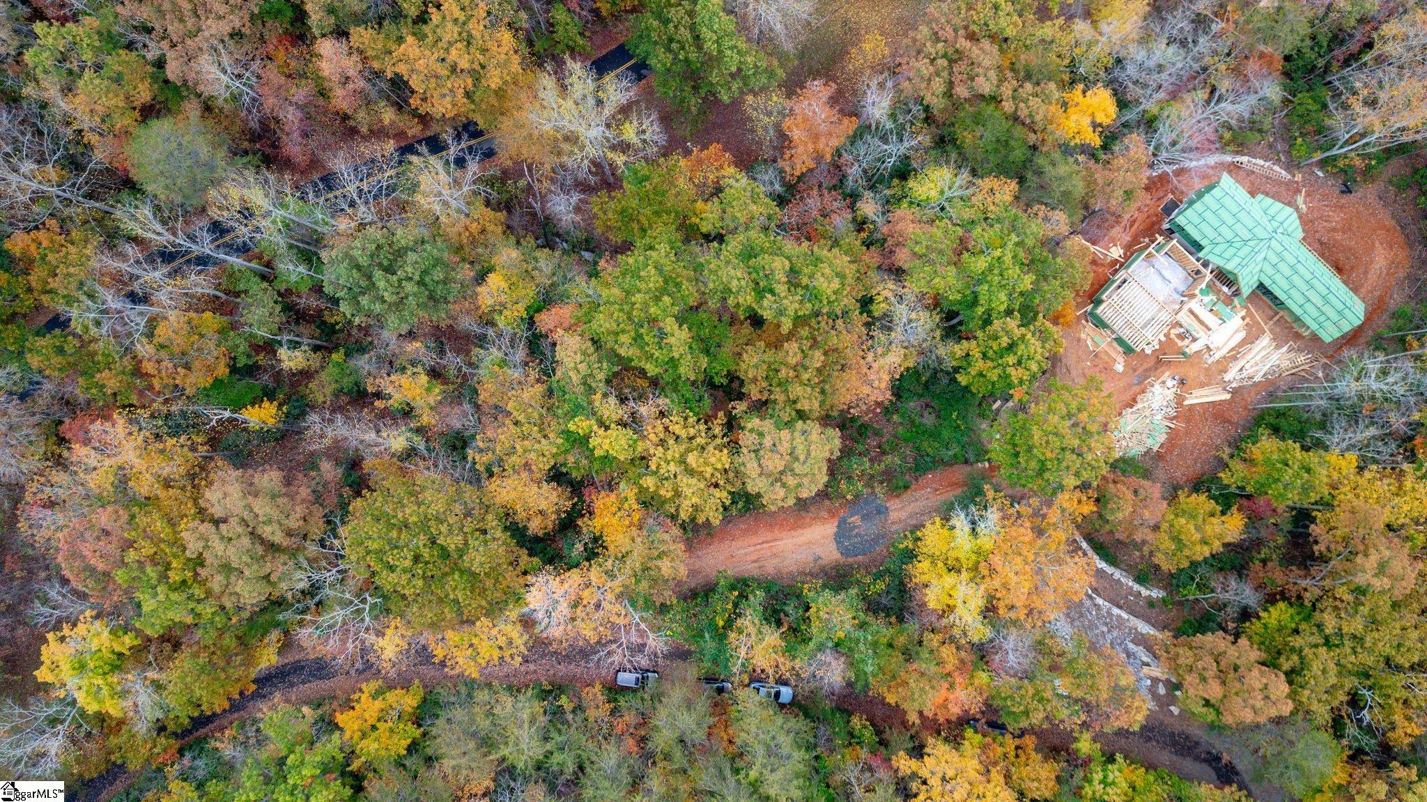 524 Caledonia Road Landrum, SC 29356 - Photo 2 of 5