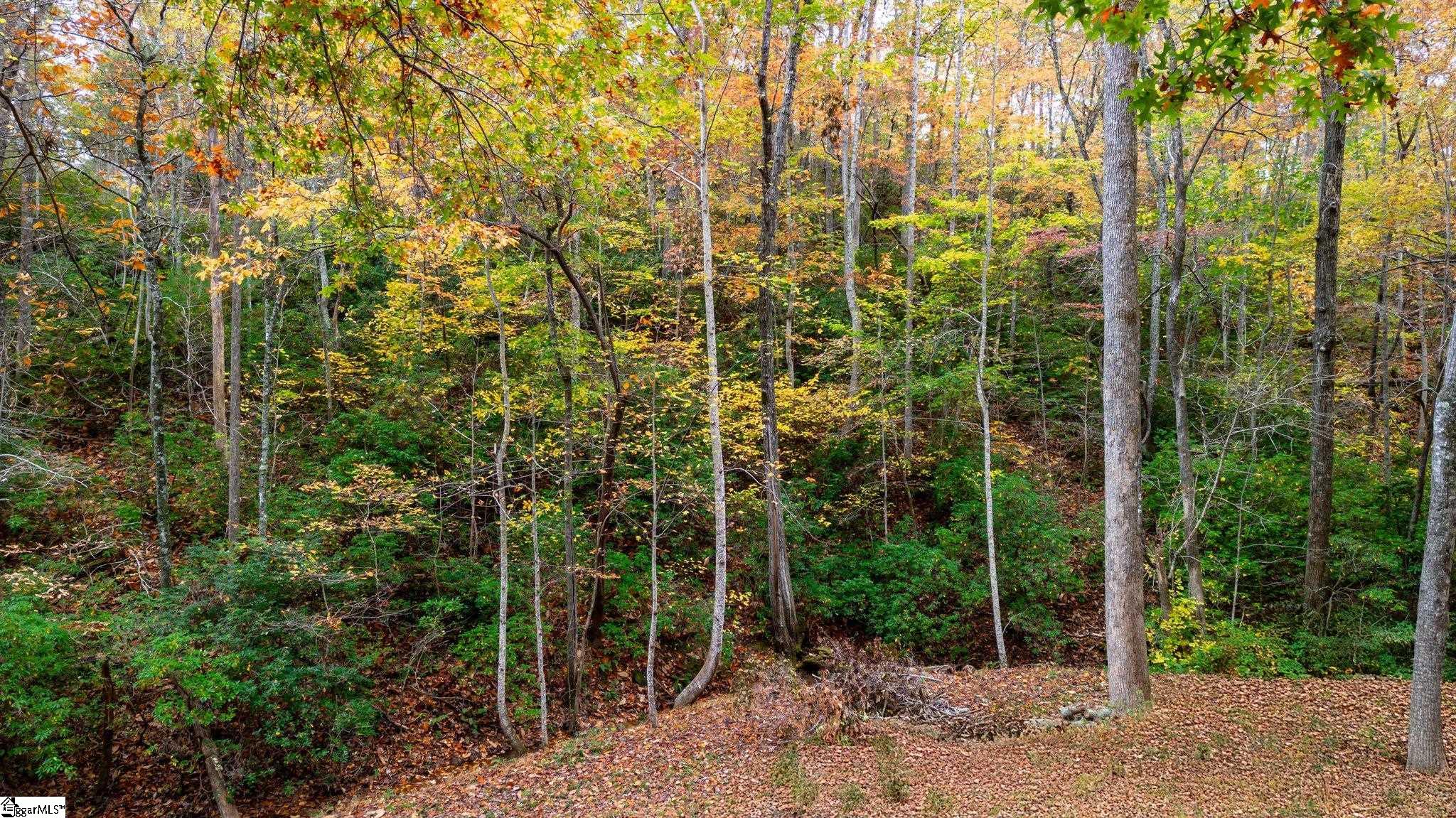 524 Caledonia Road Landrum, SC 29356 - Photo 3 of 5