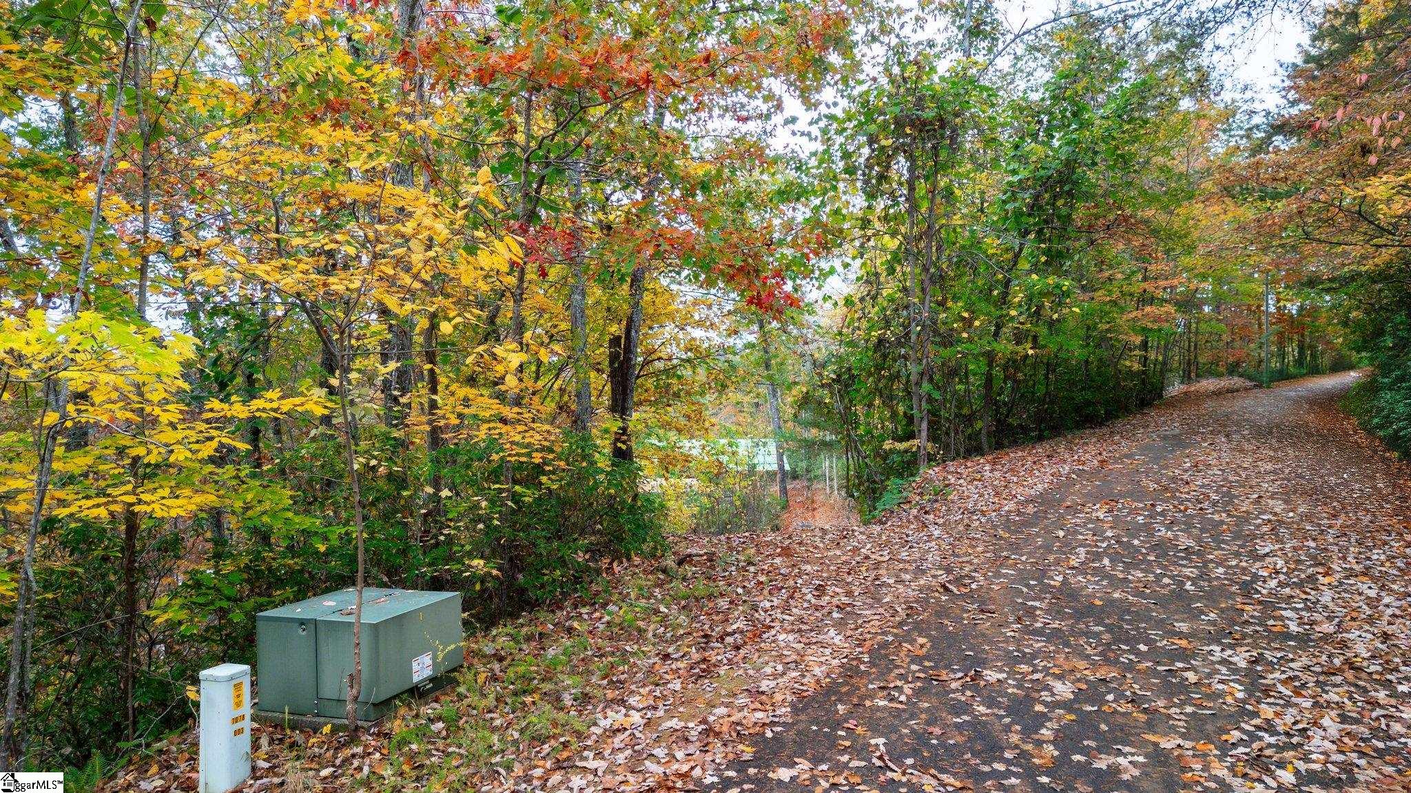 524 Caledonia Road Landrum, SC 29356 - Photo 4 of 5