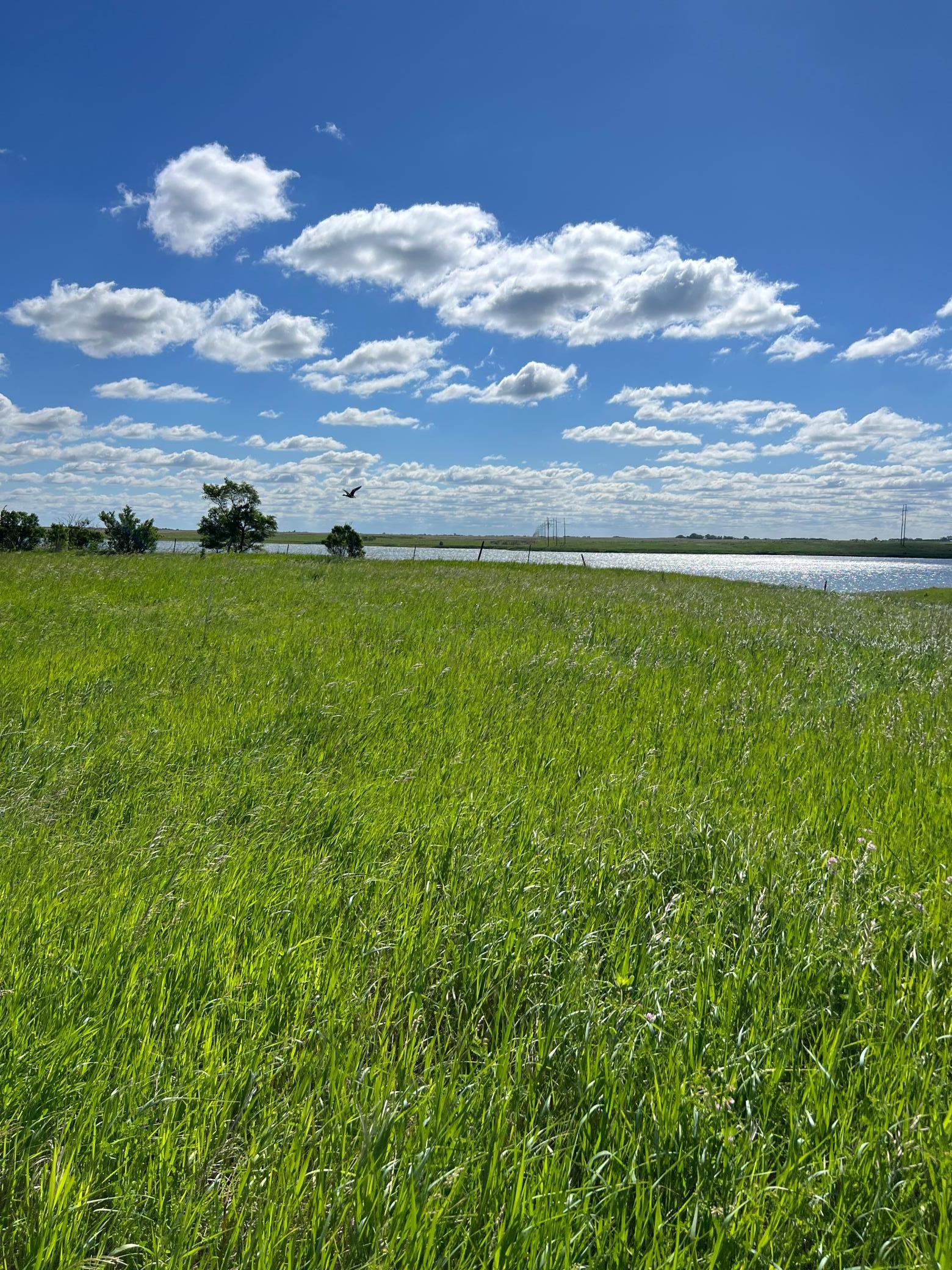 Tbd Southeast Tbd Se 90th Street Rutland, ND 58067 - Photo 92 of 105